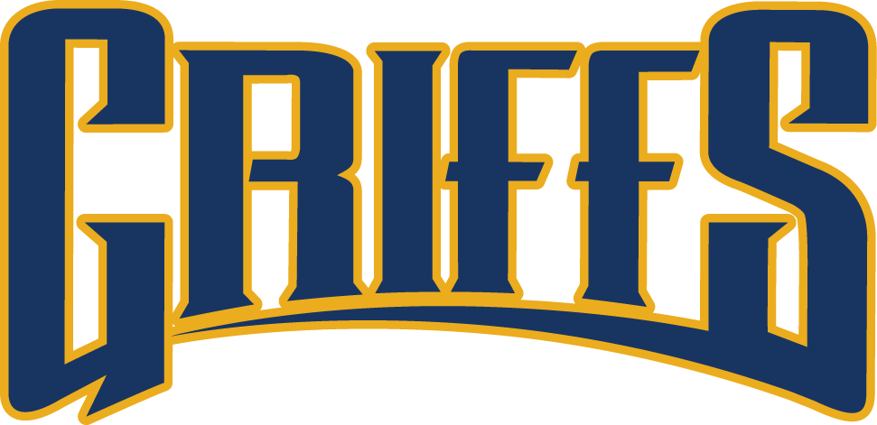 Canisius Golden Griffins 2006-Pres Wordmark Logo v2 DIY iron on transfer (heat transfer)